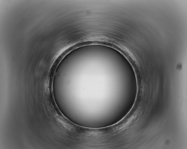 X0000099320830200805091039