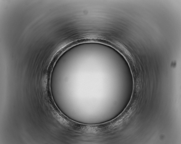 X0000099320831200805091039