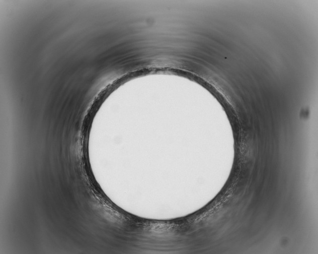 X0000099320832200805091039