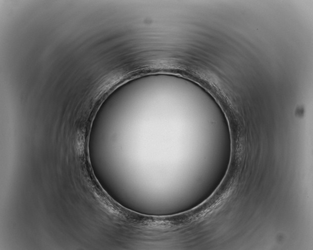 X0000099320833200805091039