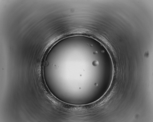 X0000099320834200805091039