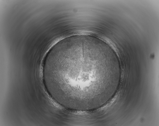 X0000099320835200805091039