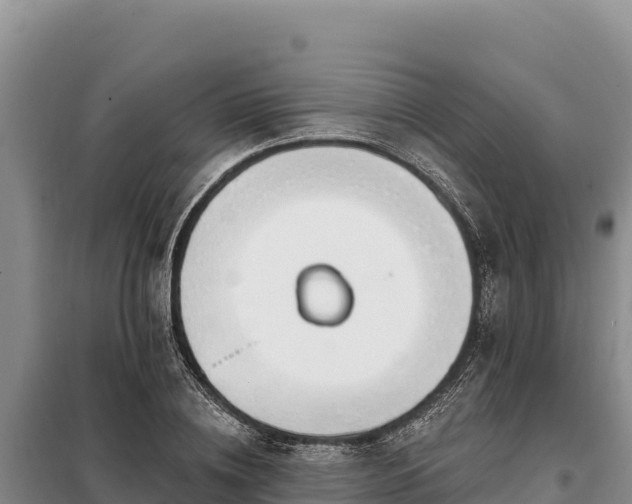 X0000099320836200805091039