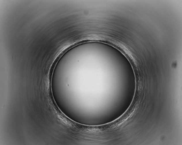 X0000099320837200805091039