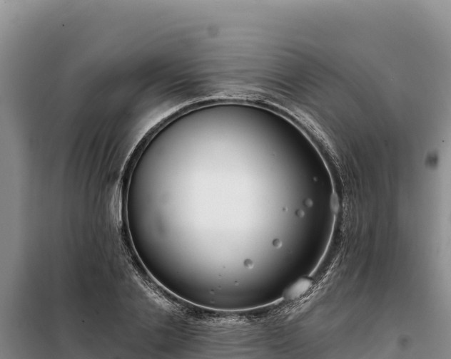 X0000099320838200805091039