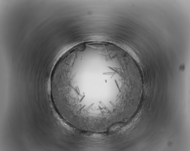 X0000099320839200805091039