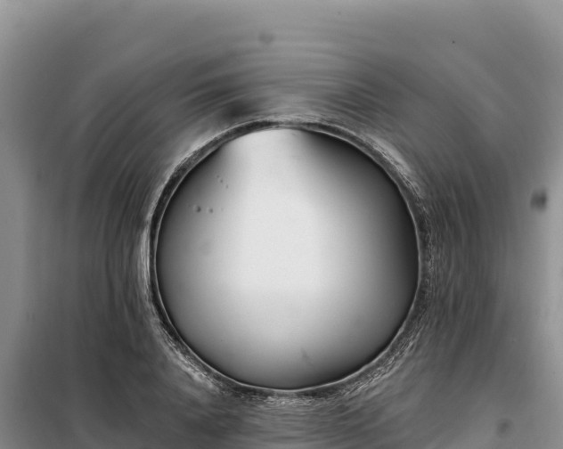 X0000099320840200805091039