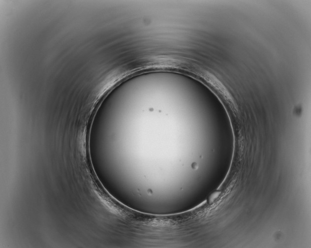 X0000099320842200805091039