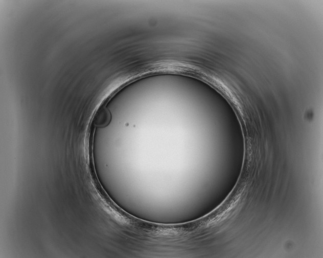 X0000099320843200805091039