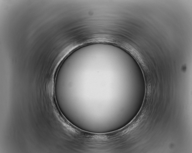 X0000099320844200805091039