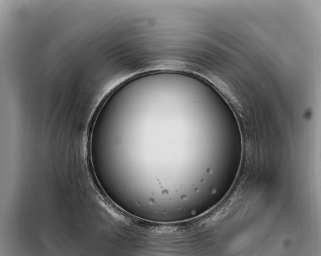 X0000099320846200805091039