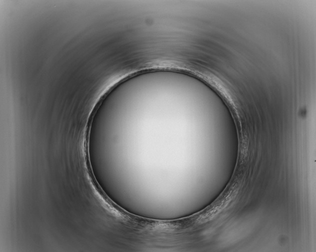 X0000099320847200805091039