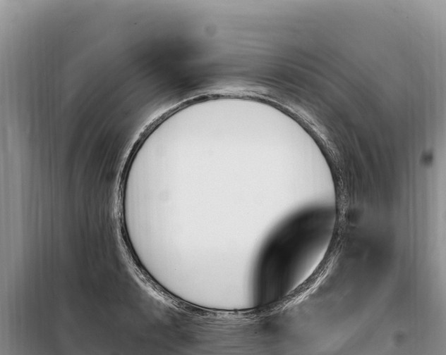 X0000099320848200805091039