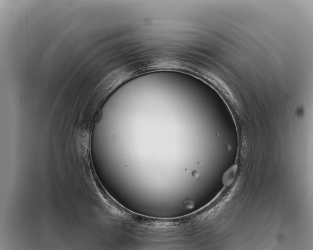 X0000099320849200805091039