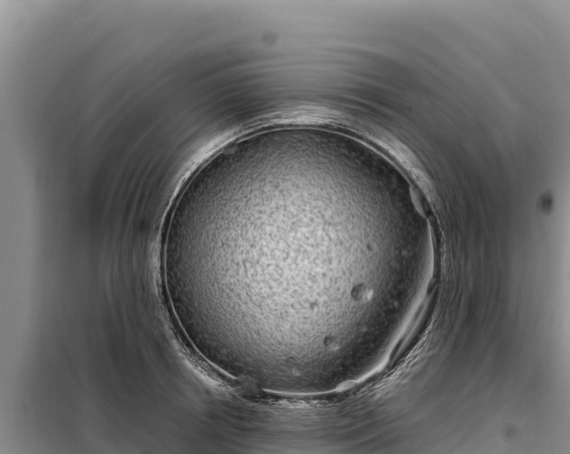 X0000099320850200805091039