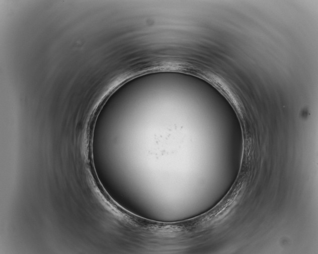 X0000099320851200805091039