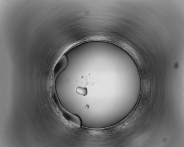 X0000099320852200805091039