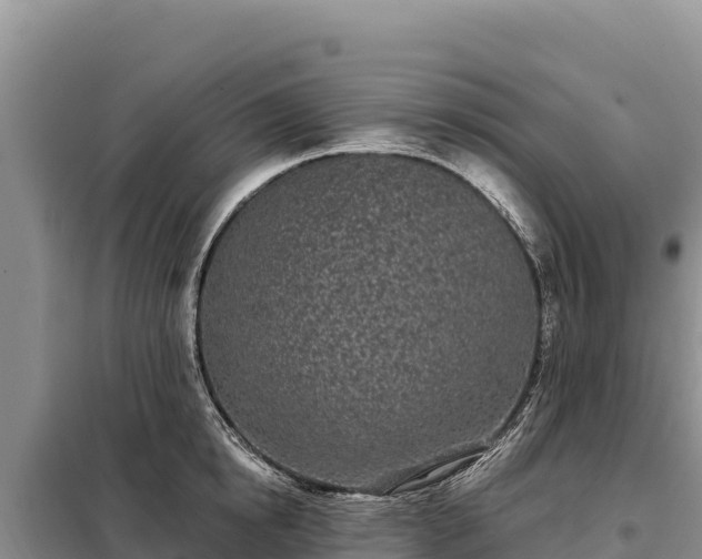 X0000099320854200805091040