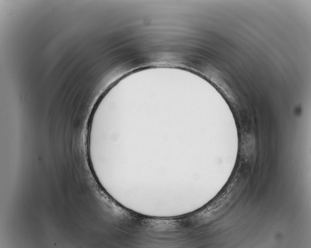 X0000099320856200805091040