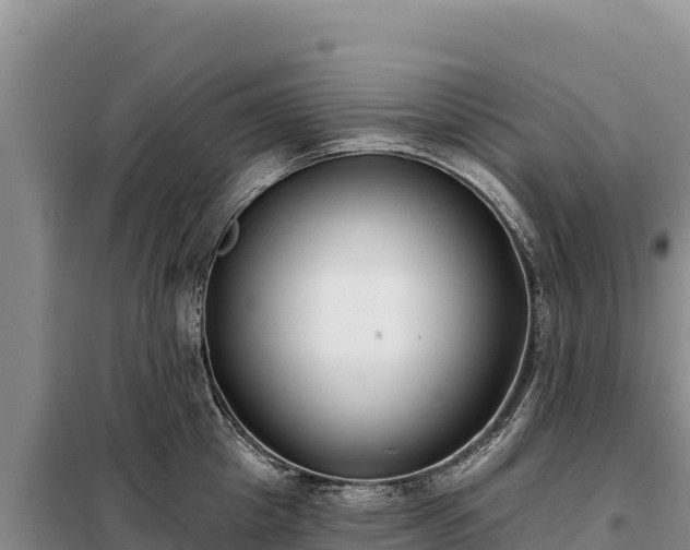 X0000099320857200805091040