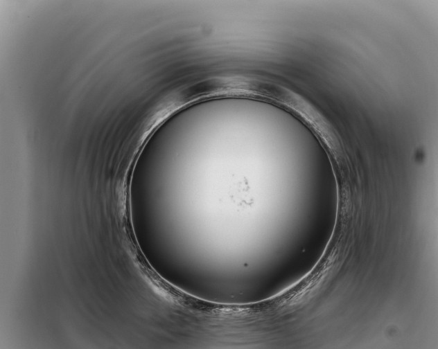 X0000099320858200805091040