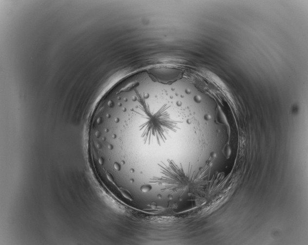 X0000099320859200805091040