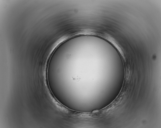 X0000099320861200805091040