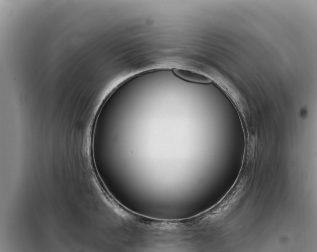 X0000099320862200805091040