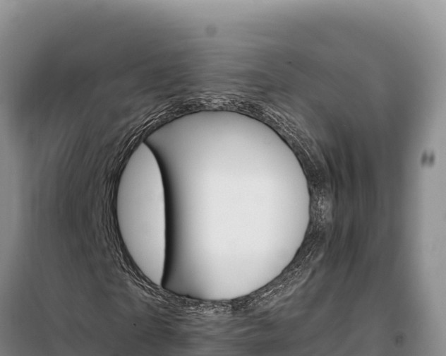 X0000099320865200805091039