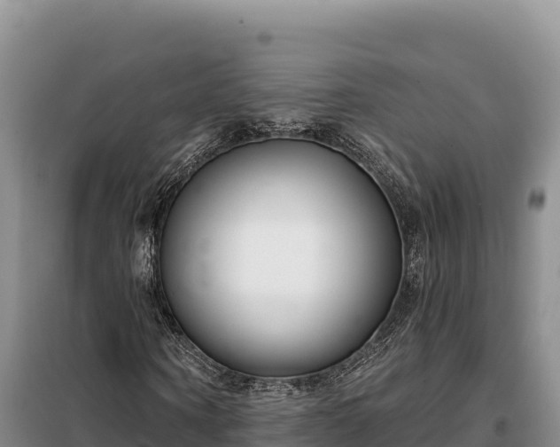 X0000099320866200805091039