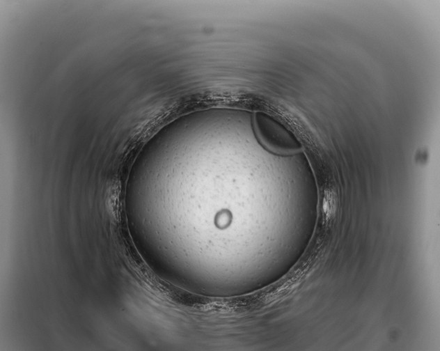 X0000099320867200805091039