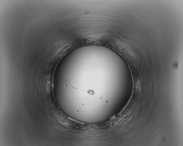 X0000099320868200805091039