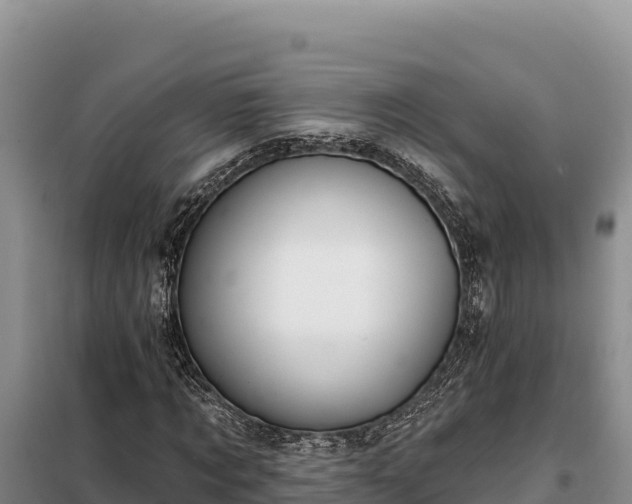 X0000099320869200805091039