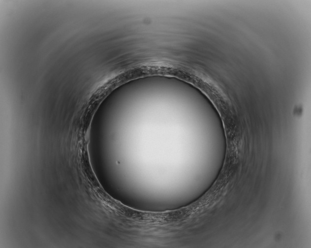 X0000099320870200805091039