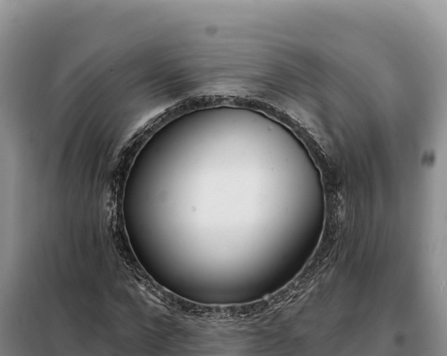 X0000099320872200805091039