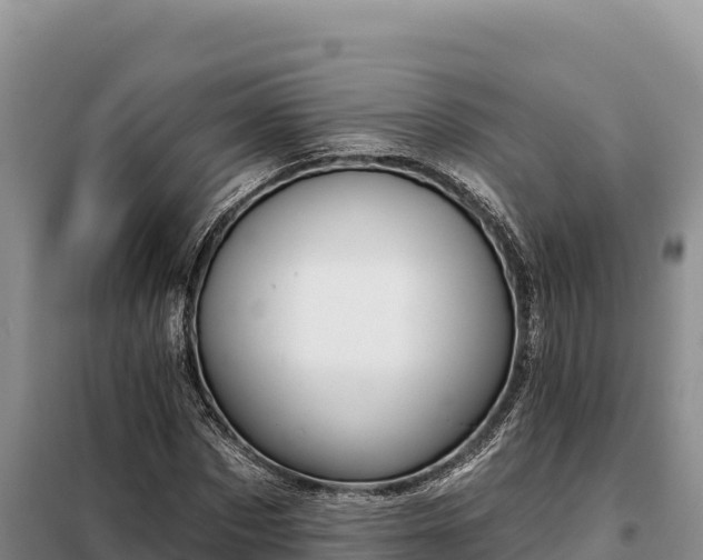 X0000099320873200805091039