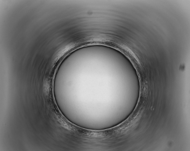 X0000099320874200805091039