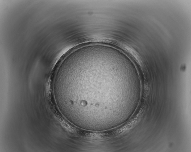 X0000099320875200805091039