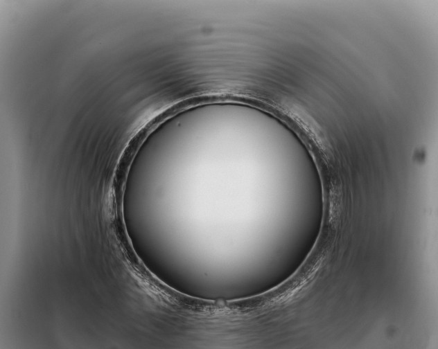 X0000099320876200805091039