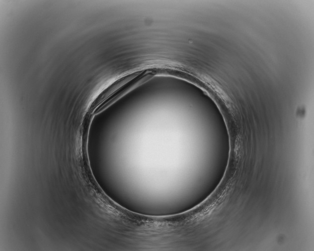 X0000099320877200805091039