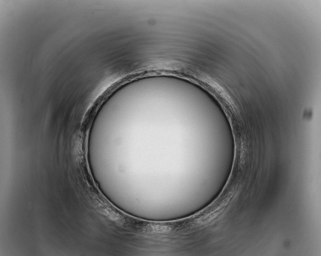 X0000099320878200805091039