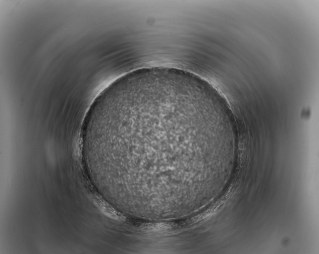 X0000099320879200805091039