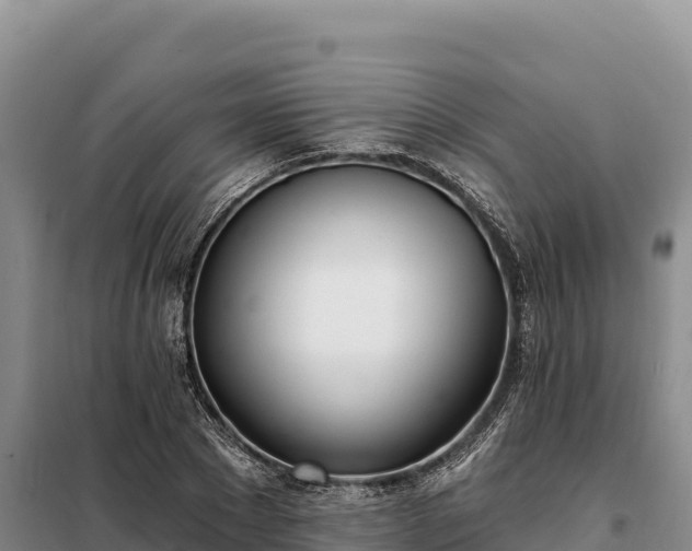 X0000099320881200805091039