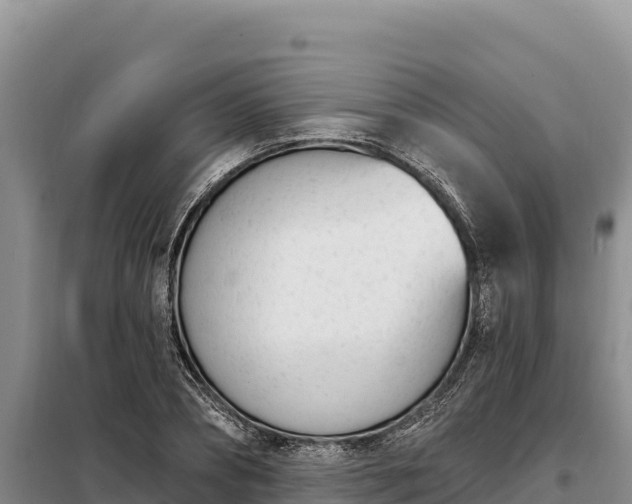 X0000099320882200805091039