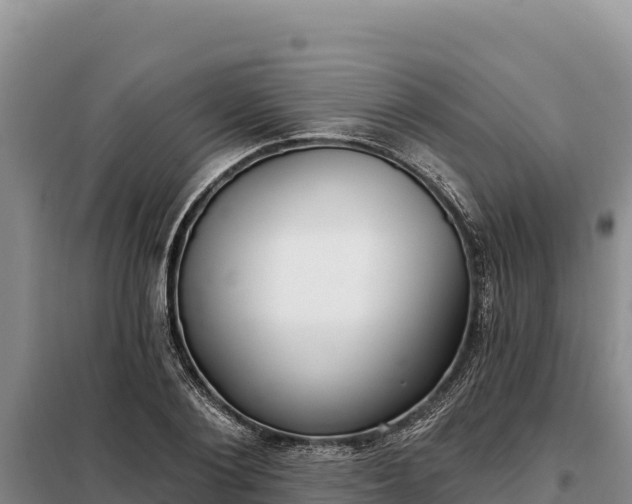 X0000099320884200805091039