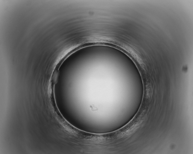 X0000099320885200805091039