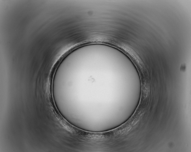 X0000099320886200805091039