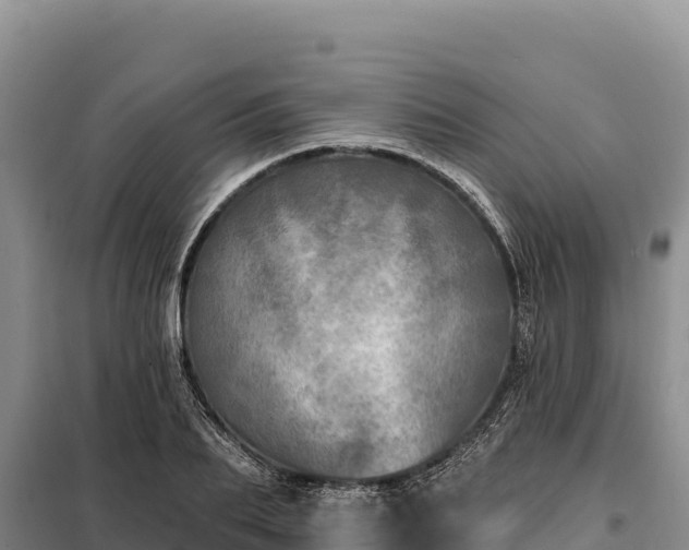 X0000099320887200805091039