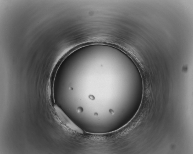 X0000099320888200805091039