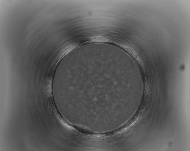 X0000099320889200805091039